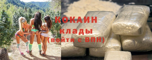 ПСИЛОЦИБИНОВЫЕ ГРИБЫ Карпинск