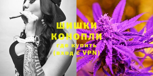ПСИЛОЦИБИНОВЫЕ ГРИБЫ Карпинск