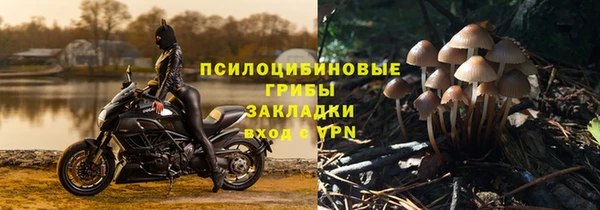 ПСИЛОЦИБИНОВЫЕ ГРИБЫ Карпинск