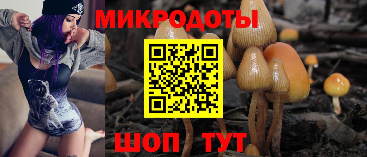 Псилоцибиновые грибы мухоморы  Галлюциногенные грибы мицелий  Альметьевск  купить закладку  Вход с VPN 